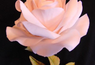 Curso de flores con Carlos Lischetti